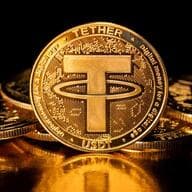 テザーの「USDT」、ベトナムのQR決済対応ステーブルコインウォレット「ローカルペイ」対応、プラズマ経由で